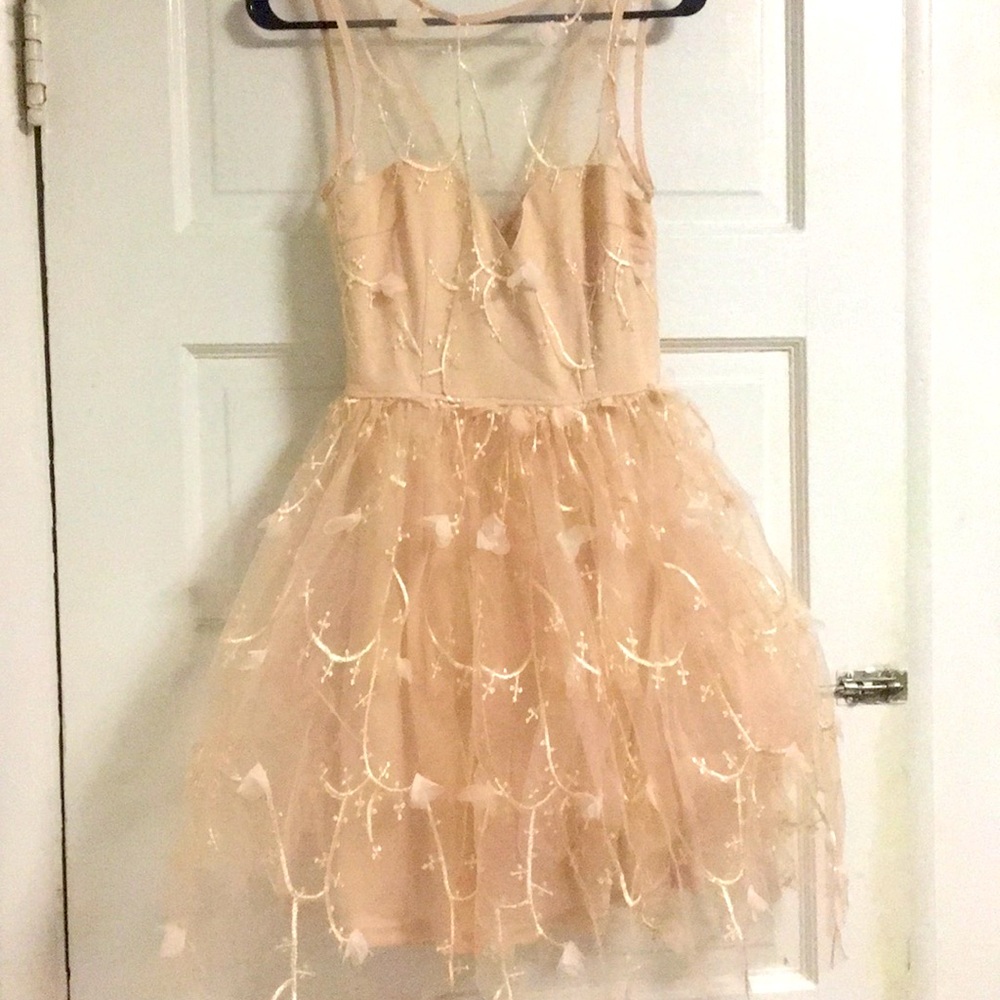 Fashion Nova Dress